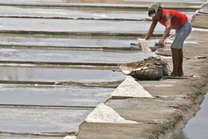 Revitalization of the Local Salt Industry