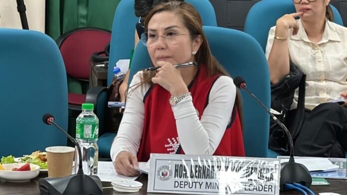 Rep. Herrera Calls for Stronger Support for Solo Parents