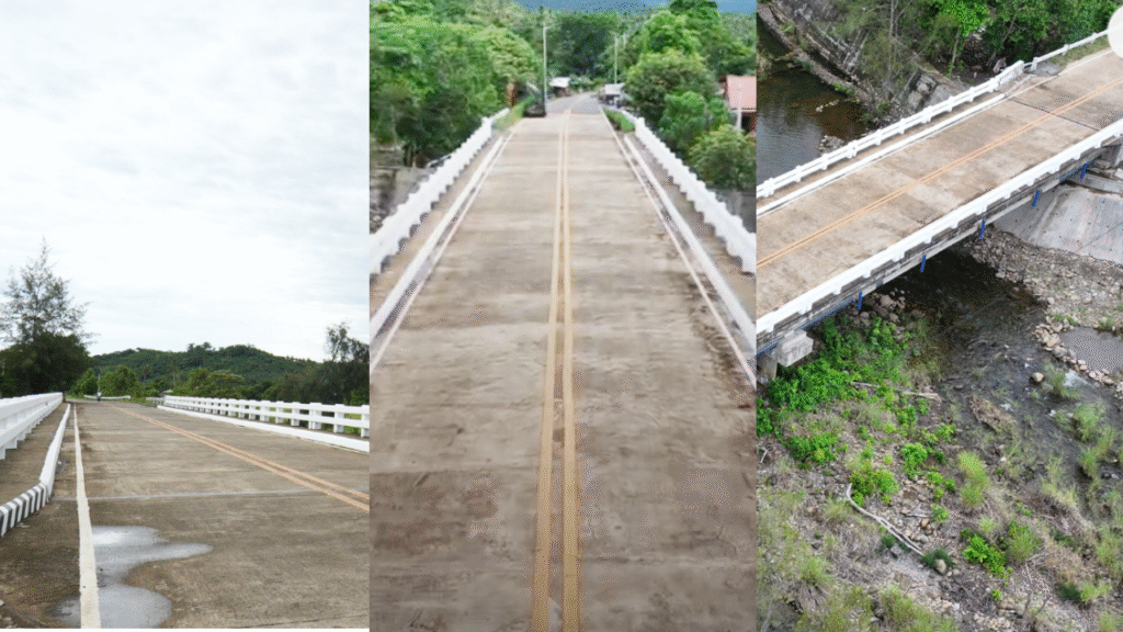Enhanced Infrastructure Development in Puerto Princesa City, Palawan