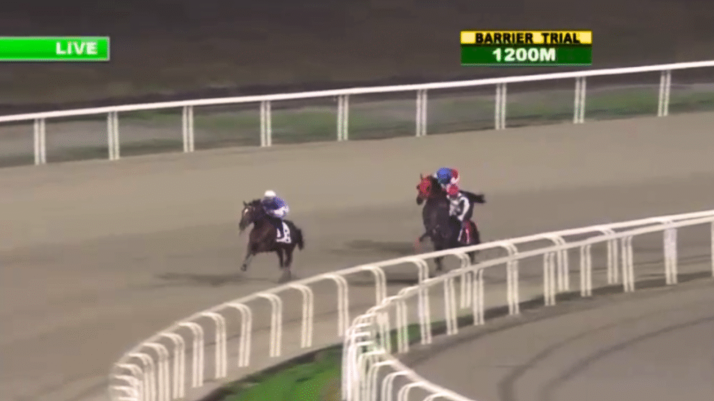 PHILIPPINE HORSE RACING