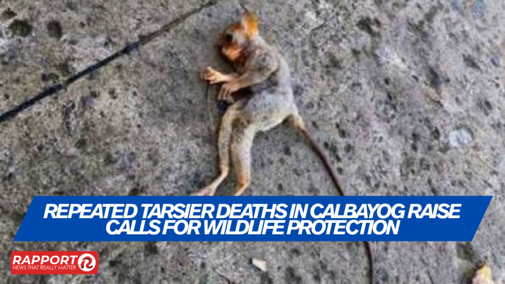 Tarsier Deaths