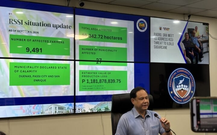 Iloilo Faces Significant Agricultural Losses Due to RSSI Infestation