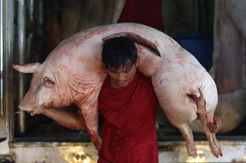 Hog Raisers Initiate Three-Day ‘Pork Holiday’ Amid Economic Struggles